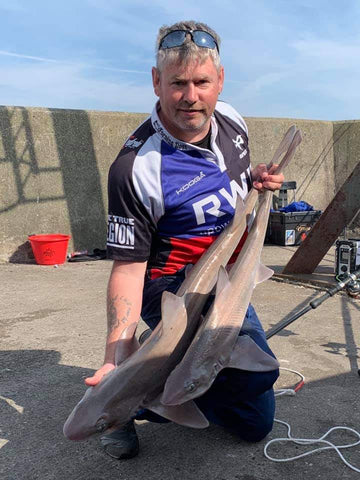 Double shot of smoothound from south Wales. Sea fishing south Wales. Moonglow fishing