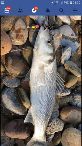 How to catch bass from the beach. 