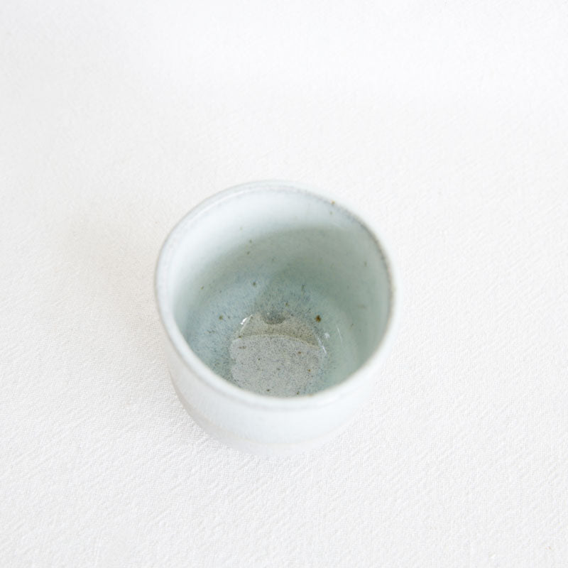 Alder Tumbler - Blue Celadon