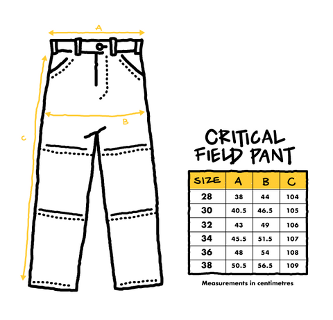 Critical Field Pant