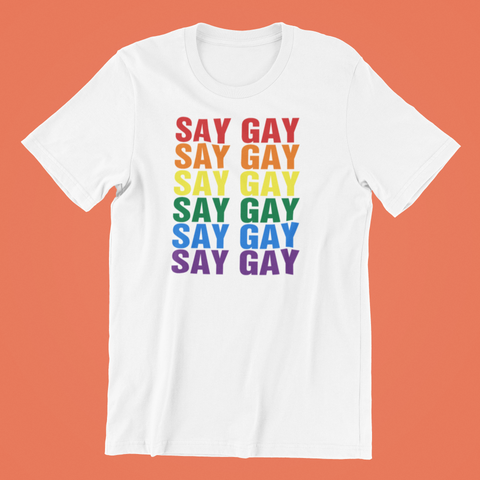 Say Gay Shirt