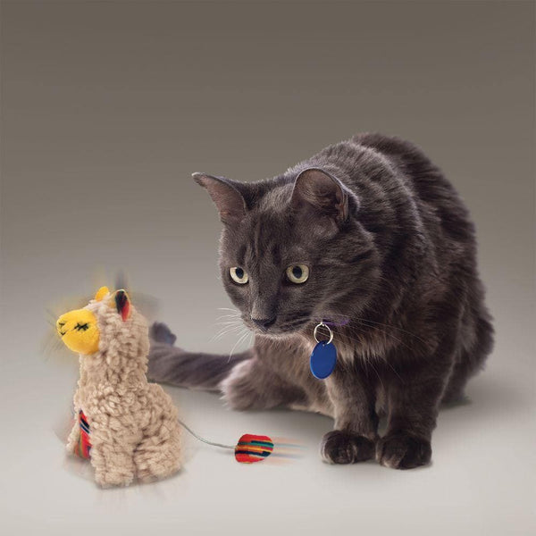 Kong Cat Softies Buzzy Llama Toy 1