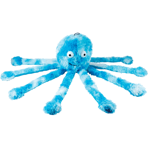 Gor Reef Baby Octopus 1