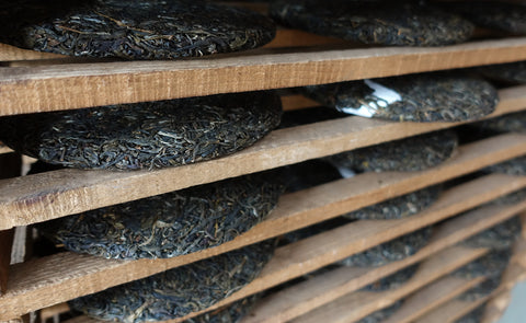 pu-erh teas are aged in a temperature and humidity controlled environment