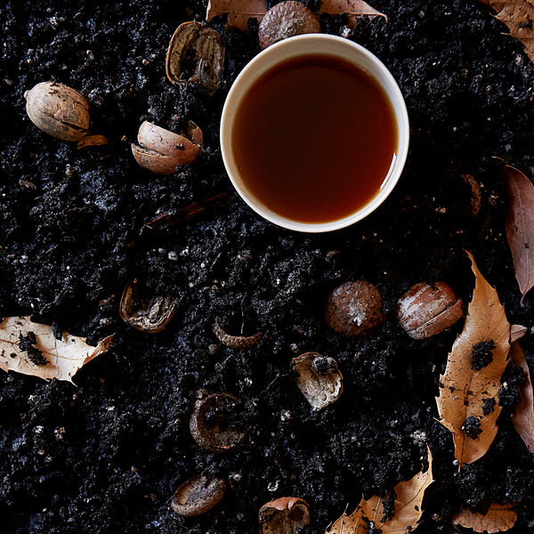 Raw Vs Ripe Pu Erh Tea 5 Key Differences Explained Mansa Tea