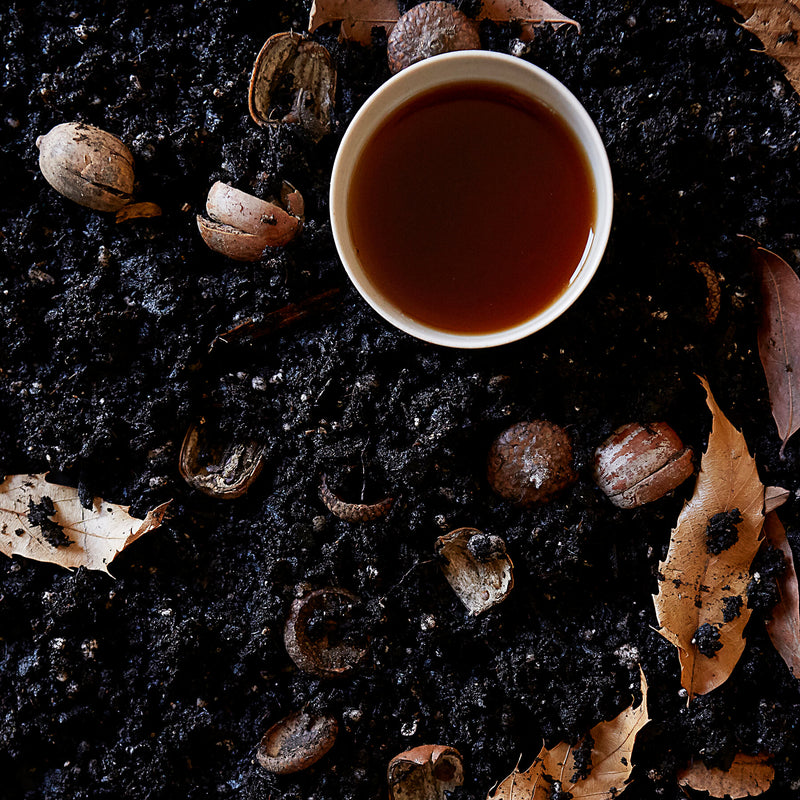 Menghai 09 Old Tree Ripe Pu Erh Tea Mansa Tea