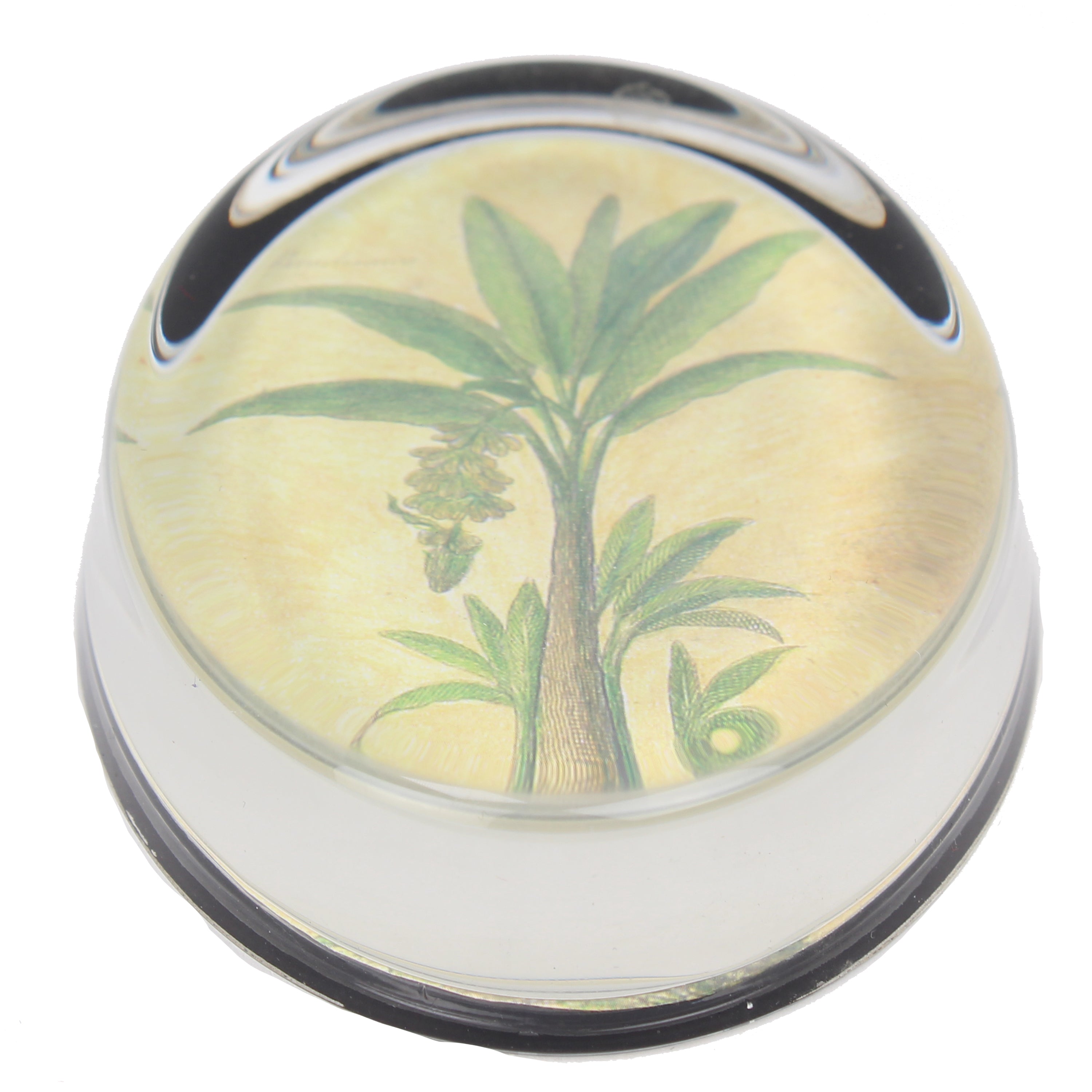 Palm Tree Paperweight