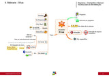 INFO - Malwares e Ataques – Mapas&Questões