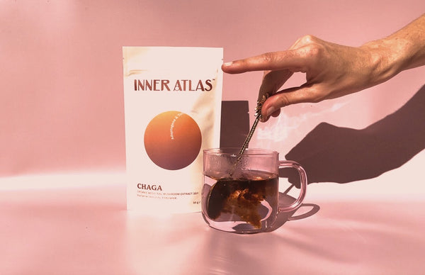 Inner Atlas Chaga Medicinal Mushroom Tea