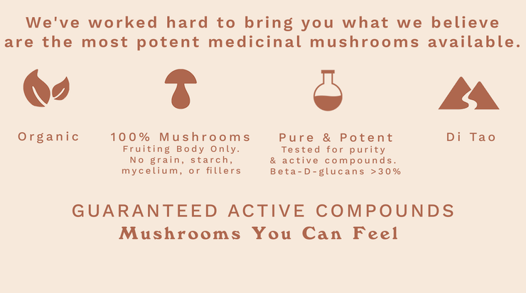 High Potency Medicinal Mushrooms