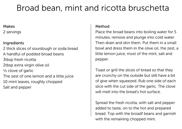 Broad bean and ricotta bruschetta recipe