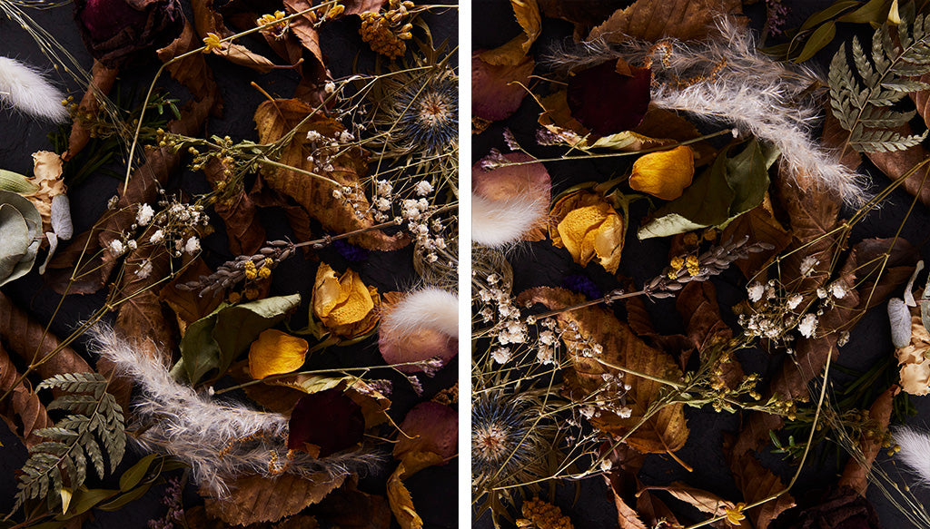 forest floor dried flowers leaves nature