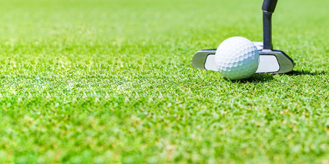 Golf Putter at the address of a Golf Ball on a green