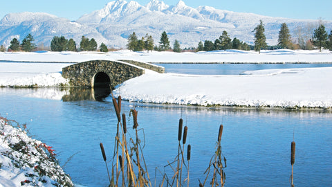 Snowy golf course