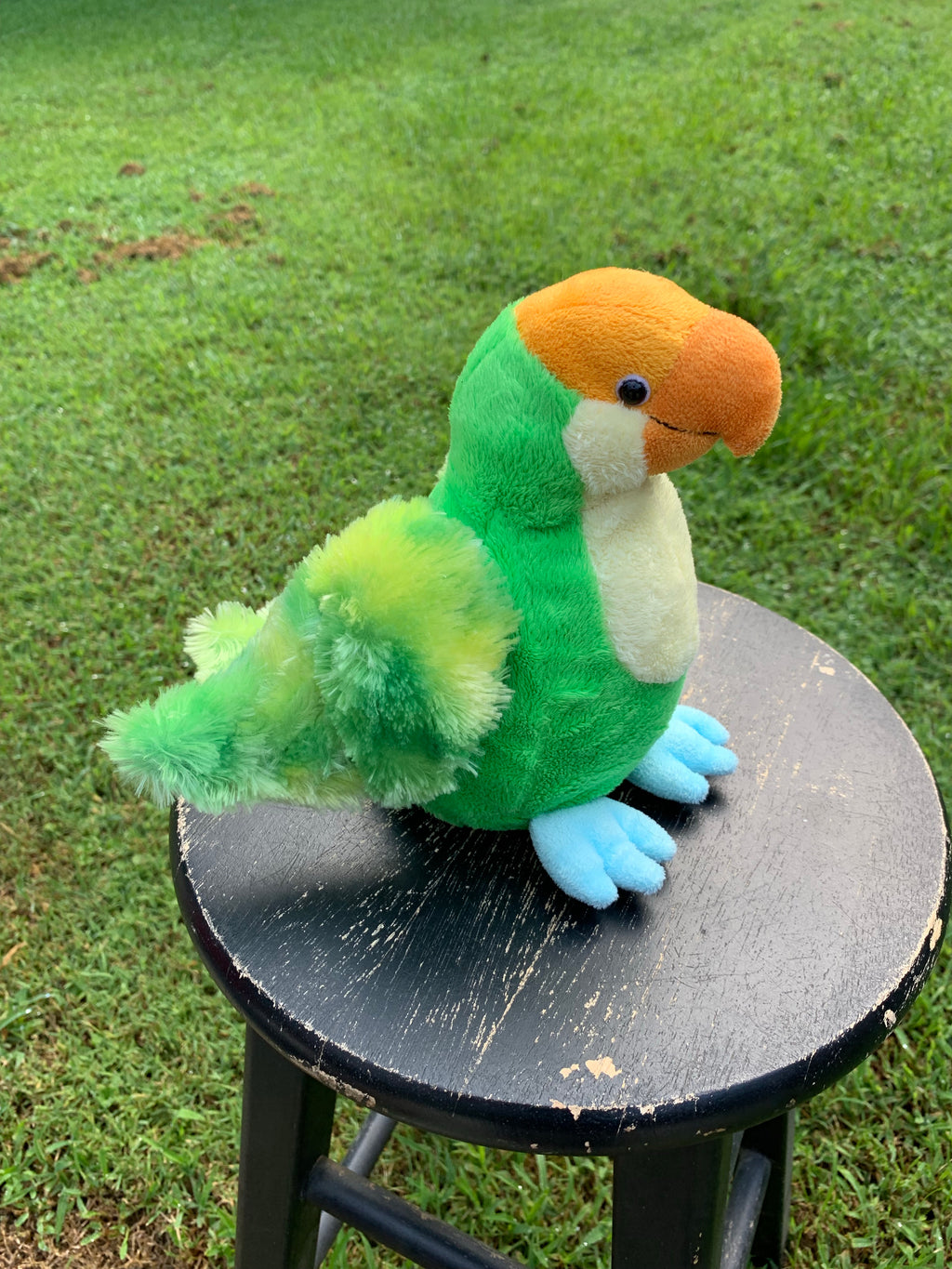 webkinz parrot