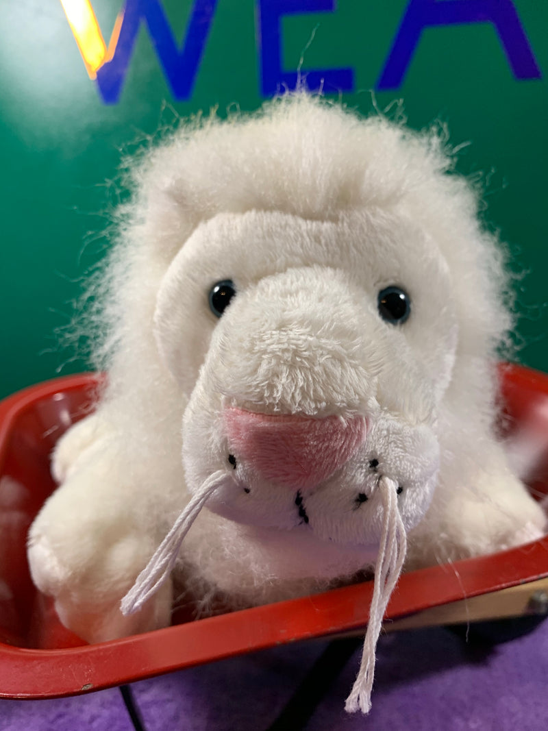 webkinz white lion