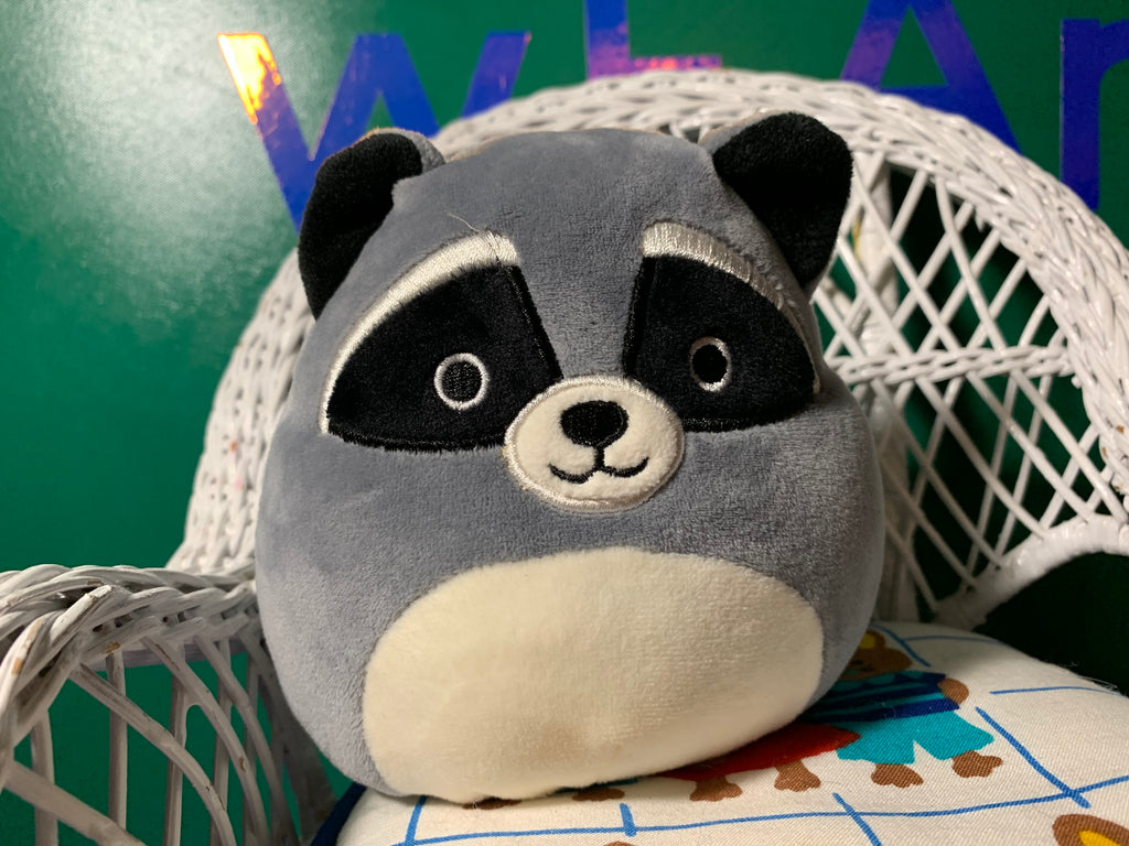 raccoon squishmallow