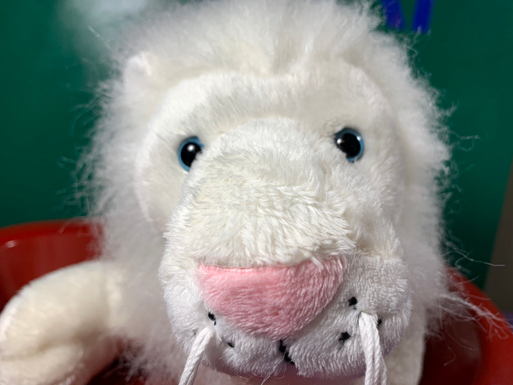 webkinz white lion