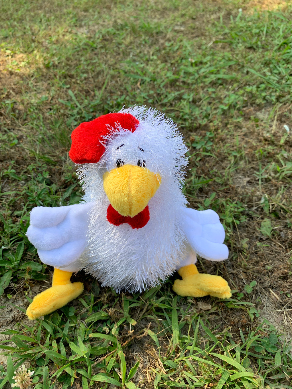 webkinz chicken