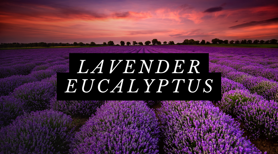 Lavender Fields Natural Fragrance Mist (Lavender & Eucalyptus)
