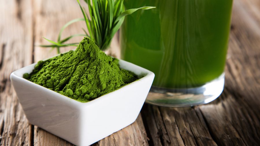 Espirulina proteína