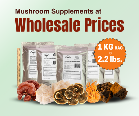 Wholesale mushroom powder supplements bulk pricing