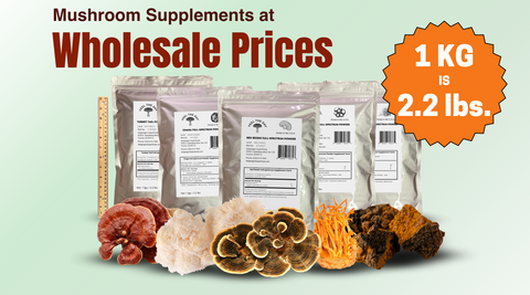 Wholesale bulk mushroom powder supplements