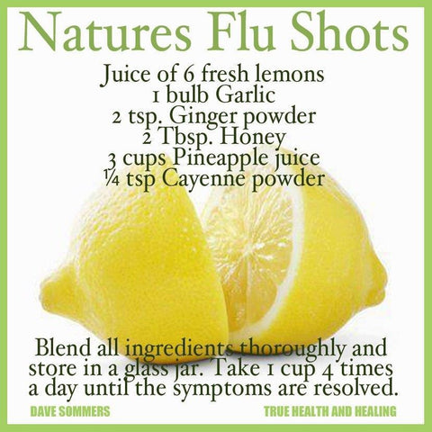 Feed Your Beauty: Nature's Flu Shots – Skinowl