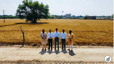 Indian_Farm_Punjab_Residual_Wheat_Waste_ECO