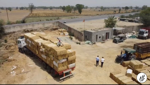 Residual_Wheat_Waste_Pickup_Punjab_Haybales_Transport_Raw_Materials