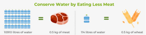 Convence water by eating less meat