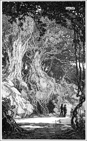 Franklin Booth, Walk in the Woods