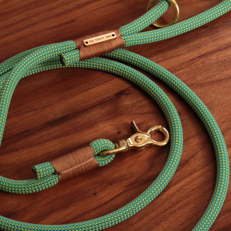 climbing dog leash