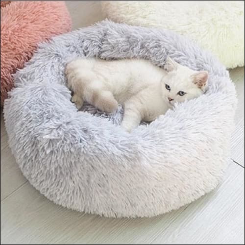 calming pet bed