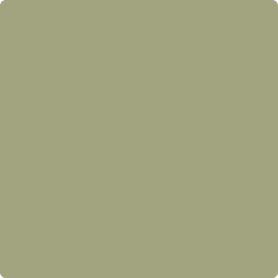 Benjamin Moore 2029-30 Rosemary Green Precisely Matched For Paint and Spray  Paint