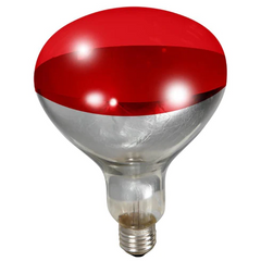 Little Giant 250 Watt Heat Lamp Bulb Red