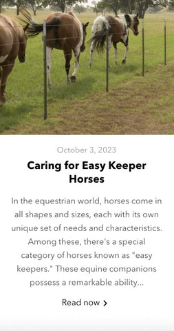 Easy Keeper Horses