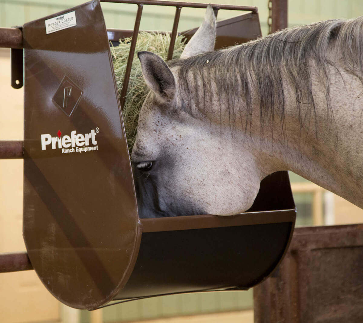 Horse Feeder