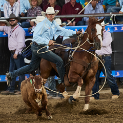 NRSworld - NHSRA 2022 NHSFR Tie-Down Roping