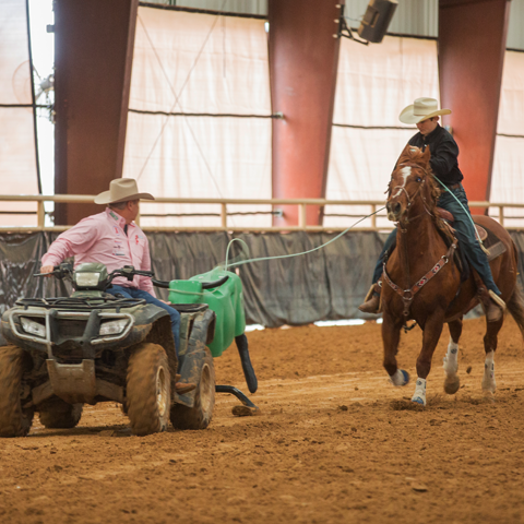 NRSworld - Smarty Roping Sled