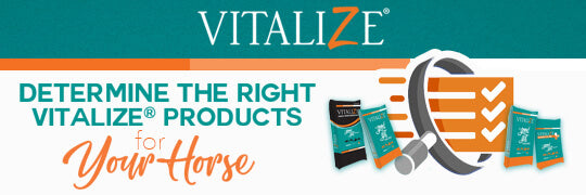 Vitalize