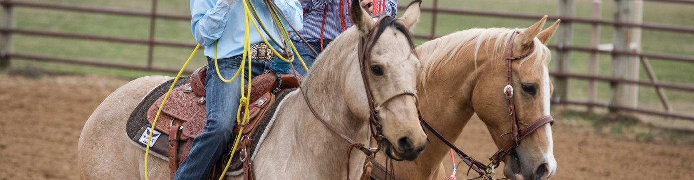 The Best Affordable Roping Saddles Under $2000