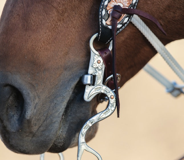 types of horse bits