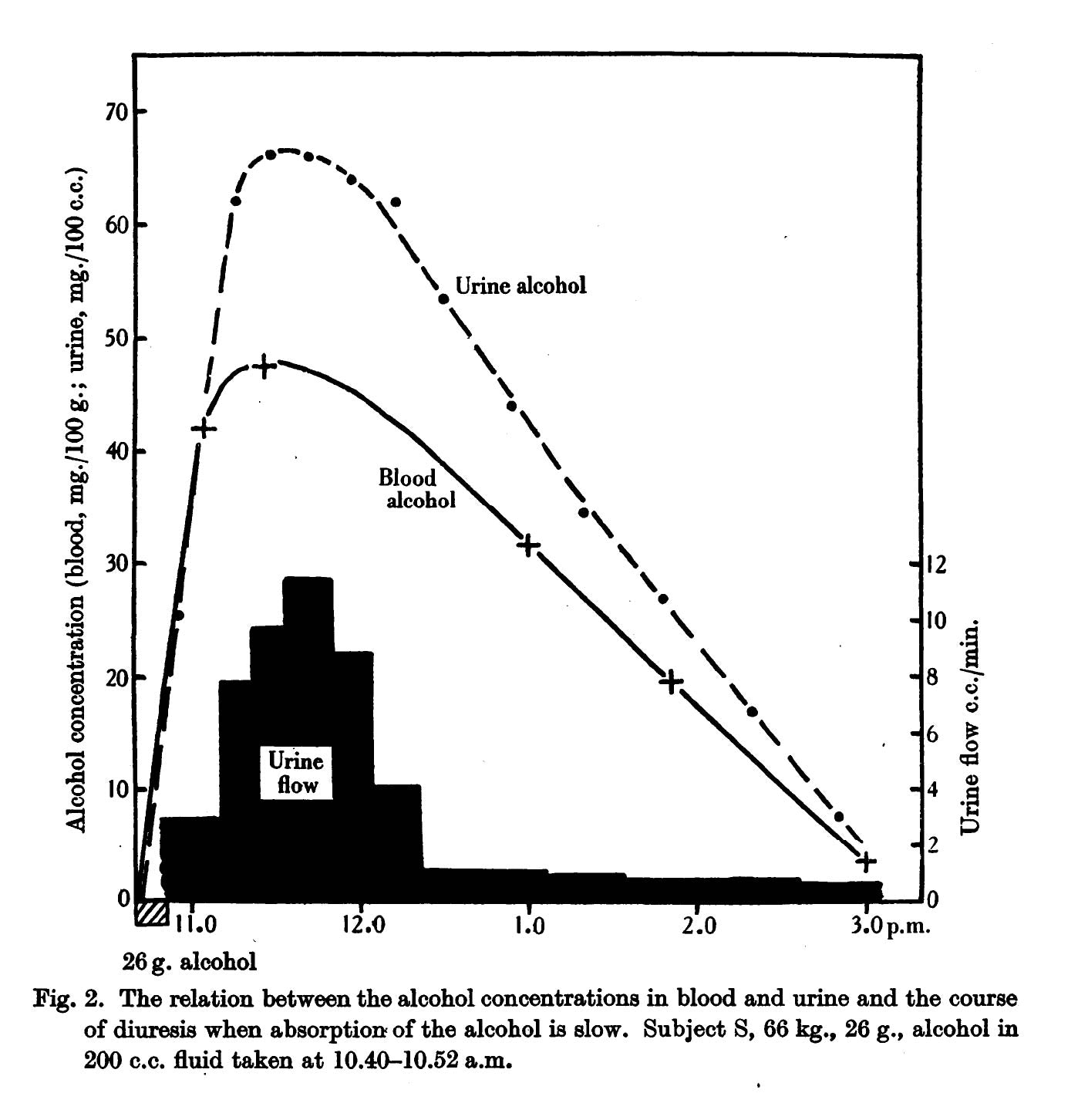 Graph showing urine output versus blood alcohol concentration after 1 drink