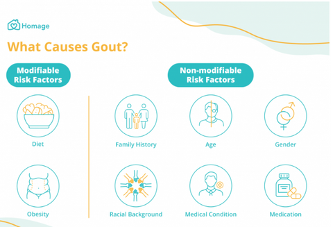 factors that causes gout, increase in uric acid 