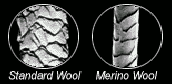 Standard vs merino wool under microscope