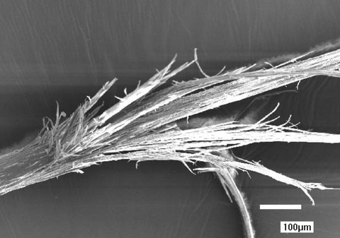 damaged human hair under microscope