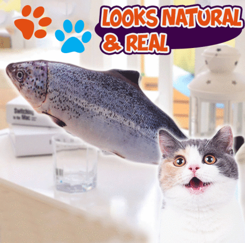 Realistic Looking Cat Kicker Fish Toy