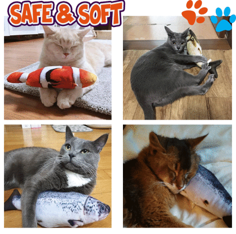 Realistic Looking Cat Kicker Fish Toy