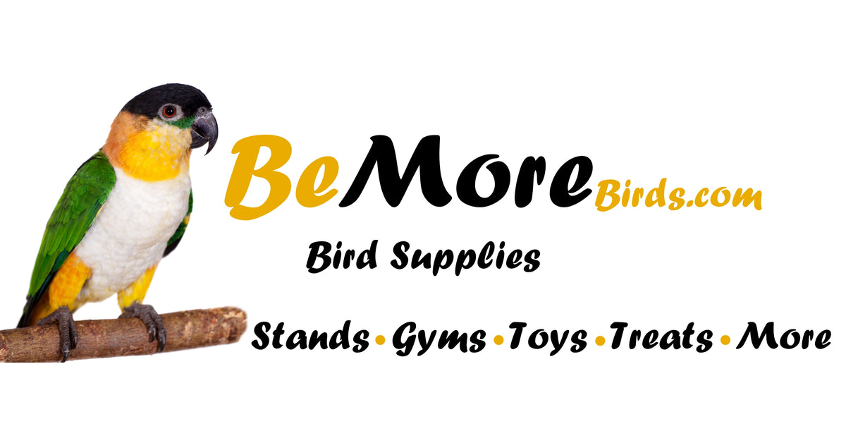 bemorebirds.com